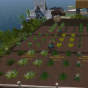 April 5, 2025<br /><br />Got the "store" up at Kaze and you can get the Yasai Garden there.  I am working on building objects that I have personally built as well -- like the Japanese-style fence.  I am also learning how to use Blender ( i just downloaded it tonight) to make the object more region-friendly (LI vs. Prim) and will put them up soon.<br /><br />The Konsai Garden is coming along well (it's in it's 2nd phase) and I should have some news about it soon!  (see the picture for updated image)<br /><br />Storage is coming slowly but should be ready for alpha-testing by April 14, 2025.  <br />I am looking at 9 new gardens and a series of Fields for the Japanese set.  After that, adding recipes to the original VivoSim devices (stoves, ovens, etc.) and then onto Japanese-style devices for the set up of farm and villages.<br /><br />The goal is as follows:<br />   ➔ Japanese Foods & Drinks<br />   ➔ Japanese sewing & fiber crops with the ability to make yukatas, tatami, futons, etc.<br />   ➔ addition to the Smithy to make Kintsugi and jewelry<br />   ➔ addition of bamboo (& other trees) and the ability to make geta, tableware, decor, furniture, <br />buildings, tools etc.<br /><br />Annah Gestaga<br />Home Grid: gentlefire.opensim.fun:8002:Gentle Fire Grid<br />Region: hop://gentlefire.opensim.fun:8002/Kaze%20no%20Sato/250/251/22<br />VivoSim: vivosim.net/profile/annahgestaga